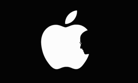 Apple - Bolsahub